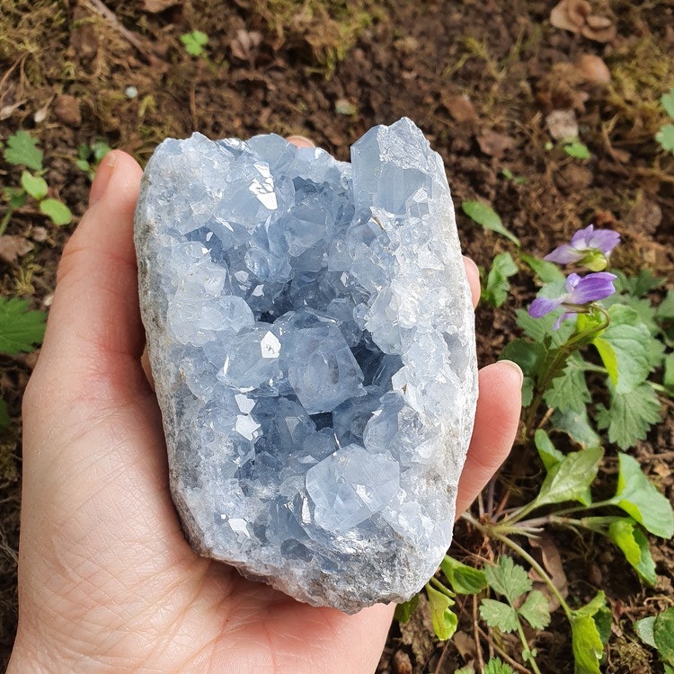 Kluster av Celestite, 805 g. Detta ex.