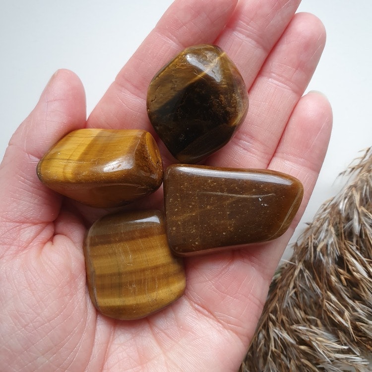Trumlad Tigeröga, 16-23g M
