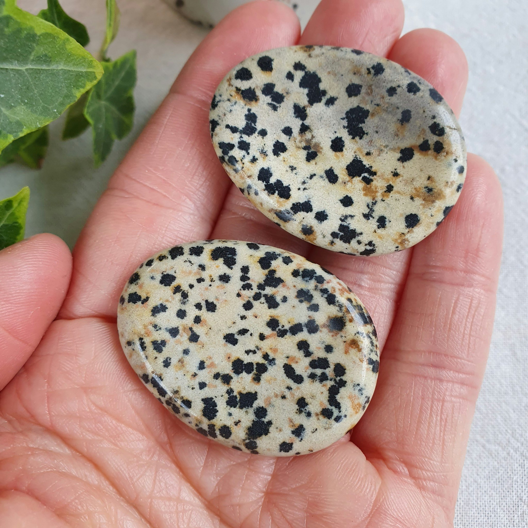 No worry stone av Dalmatiner Jaspis