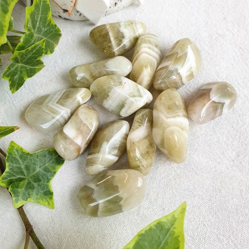 Trumlad Prasiolite 5-9 g XS