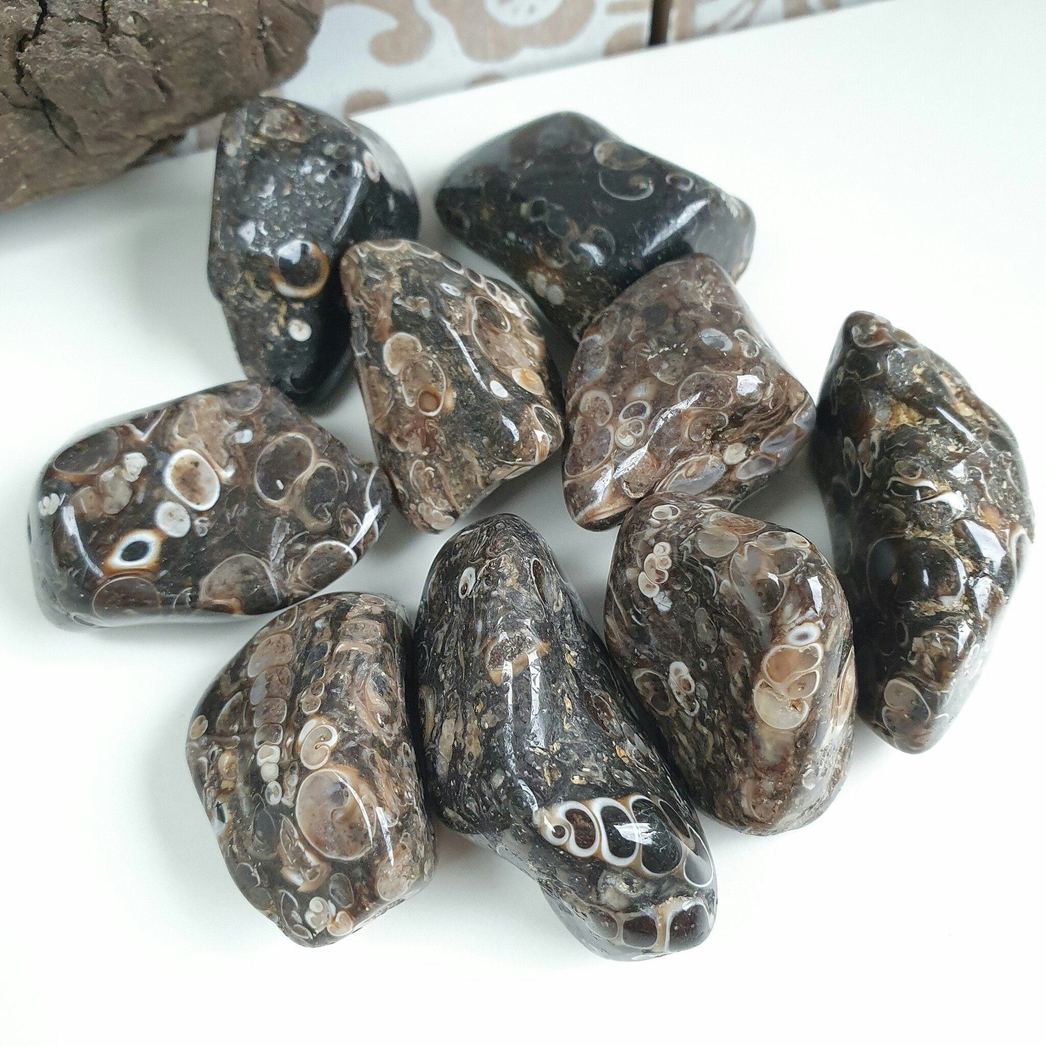 Trumlad Turitella Agat 16-23 g M