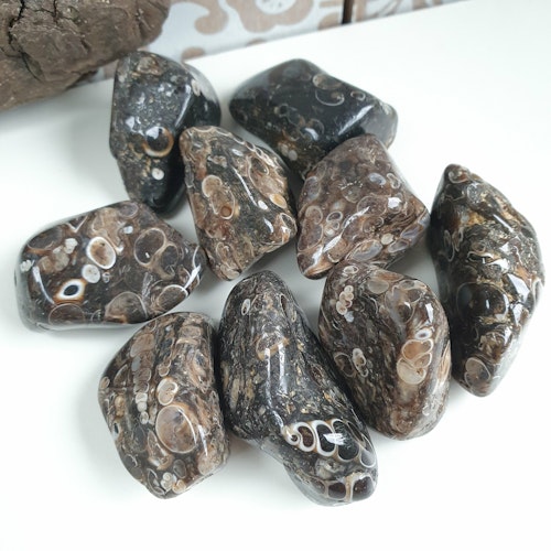 Trumlad Turitella Agat 16-23 g M
