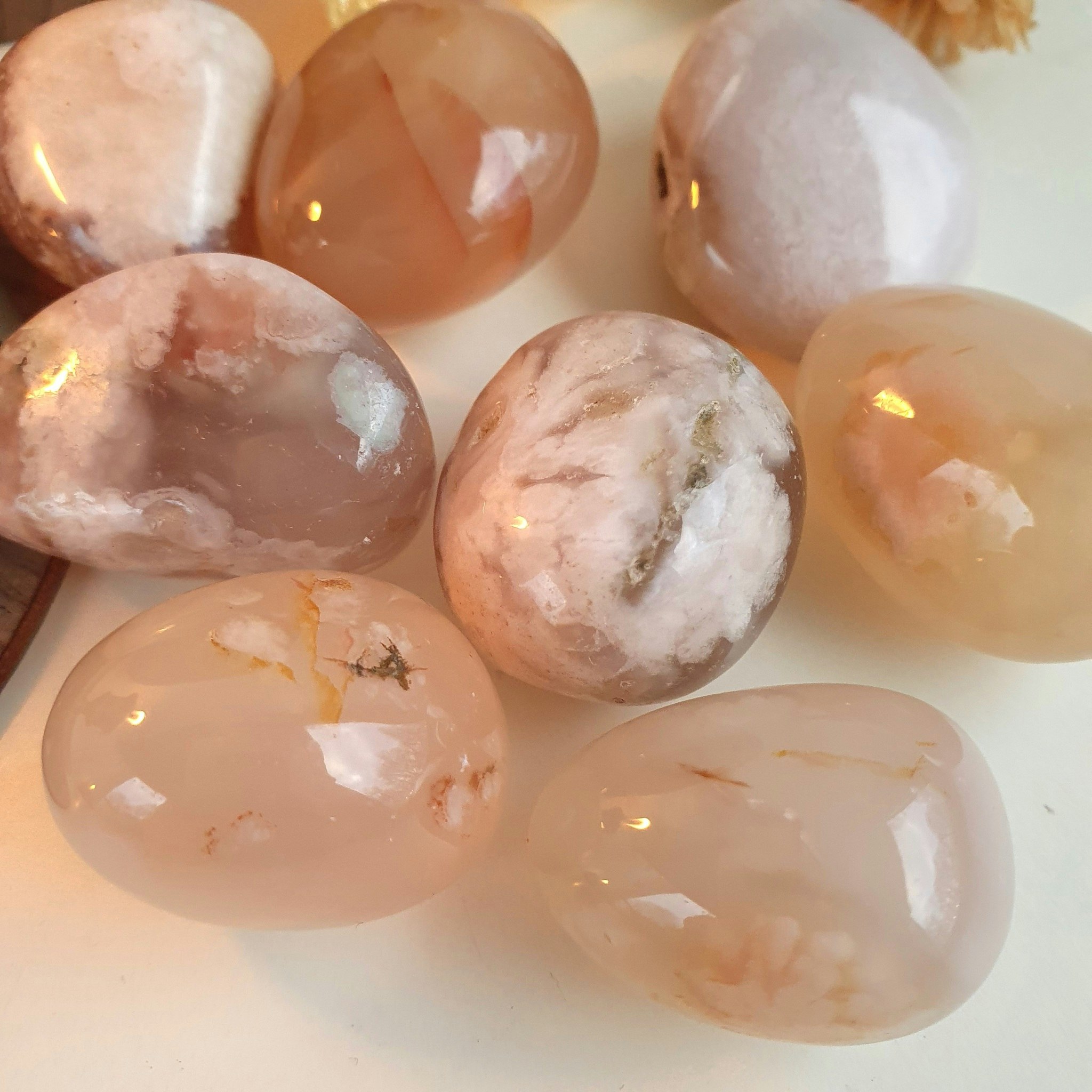 Trumlad Blomsteragat, 16-23 g M