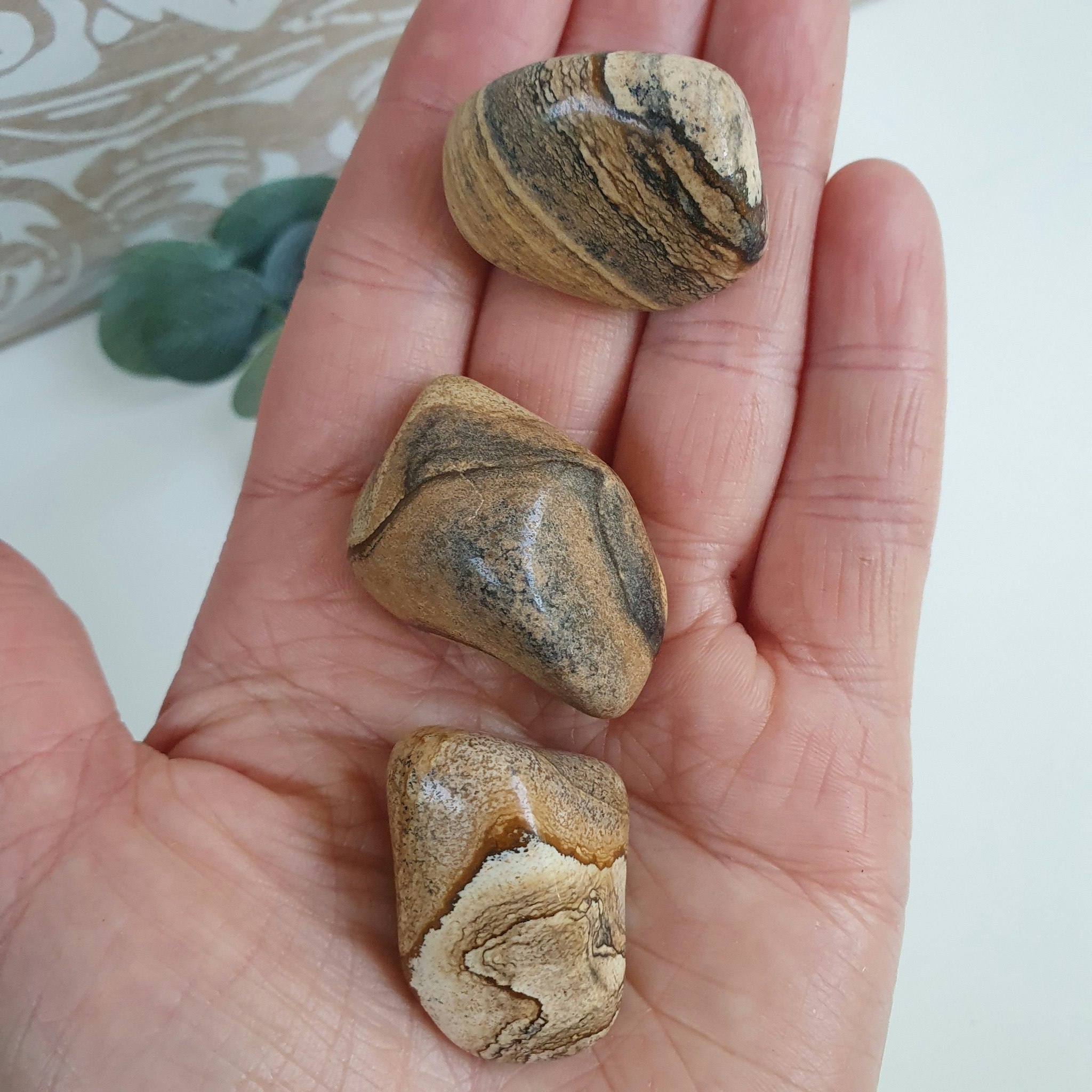 Trumlad Landskapsjaspis A 16-23 g M