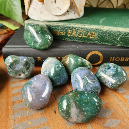 Trumlad Mossagat, 16-23 g M