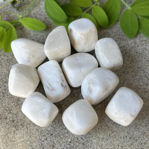 Trumlad Scolecite 10-15 g S. Vi väljer