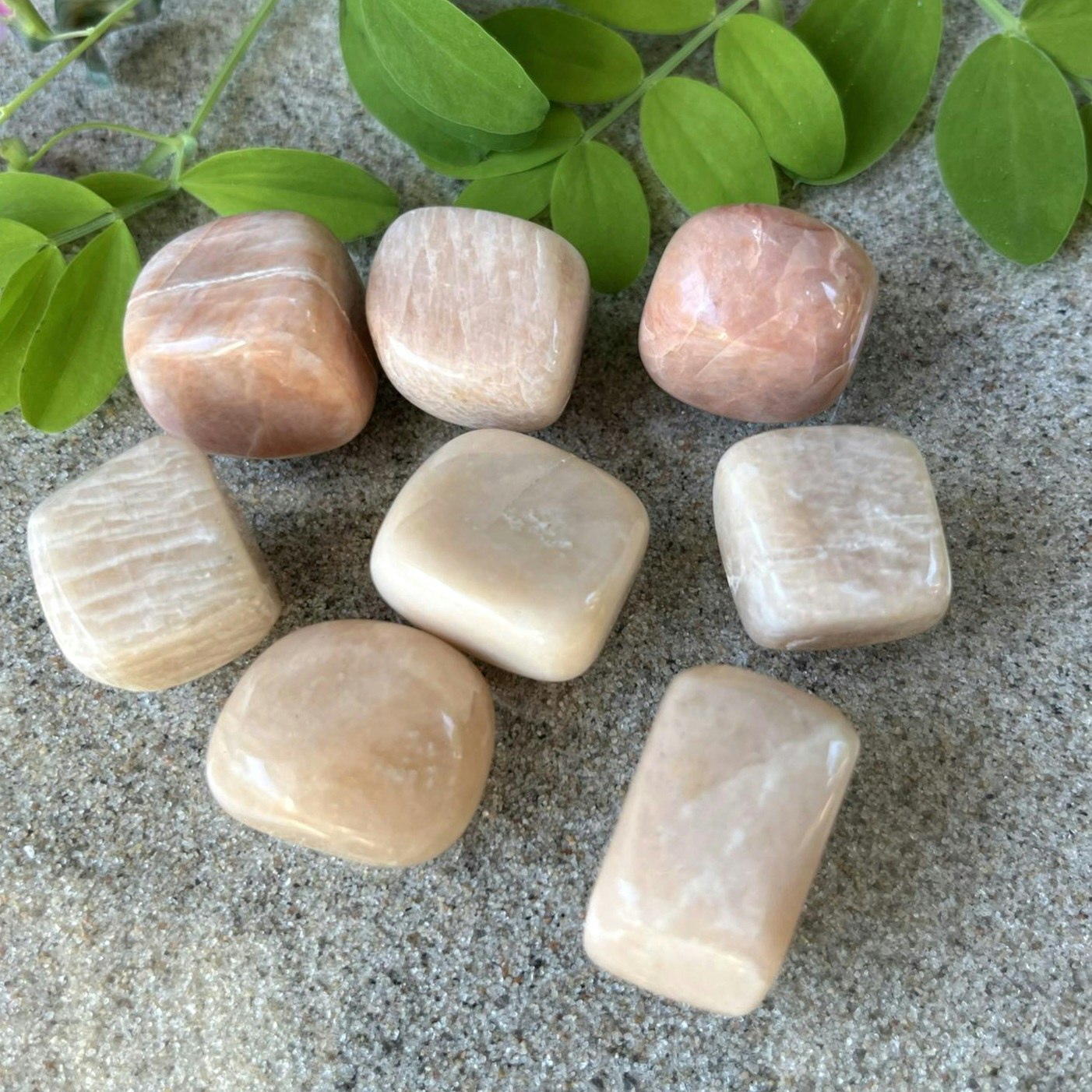 Trumlad Månsten 10-15 g S