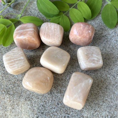 Trumlad Månsten 10-15 g S