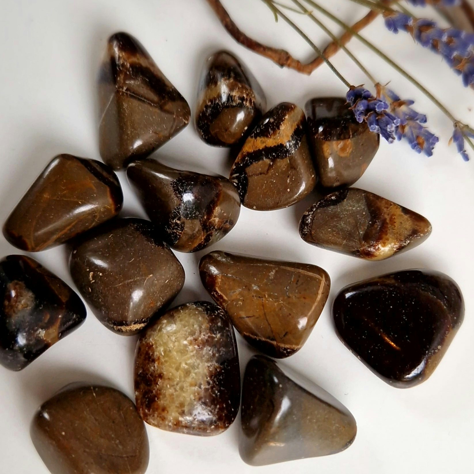 Trumlad Septarian 5-9 g XS. Vi väljer