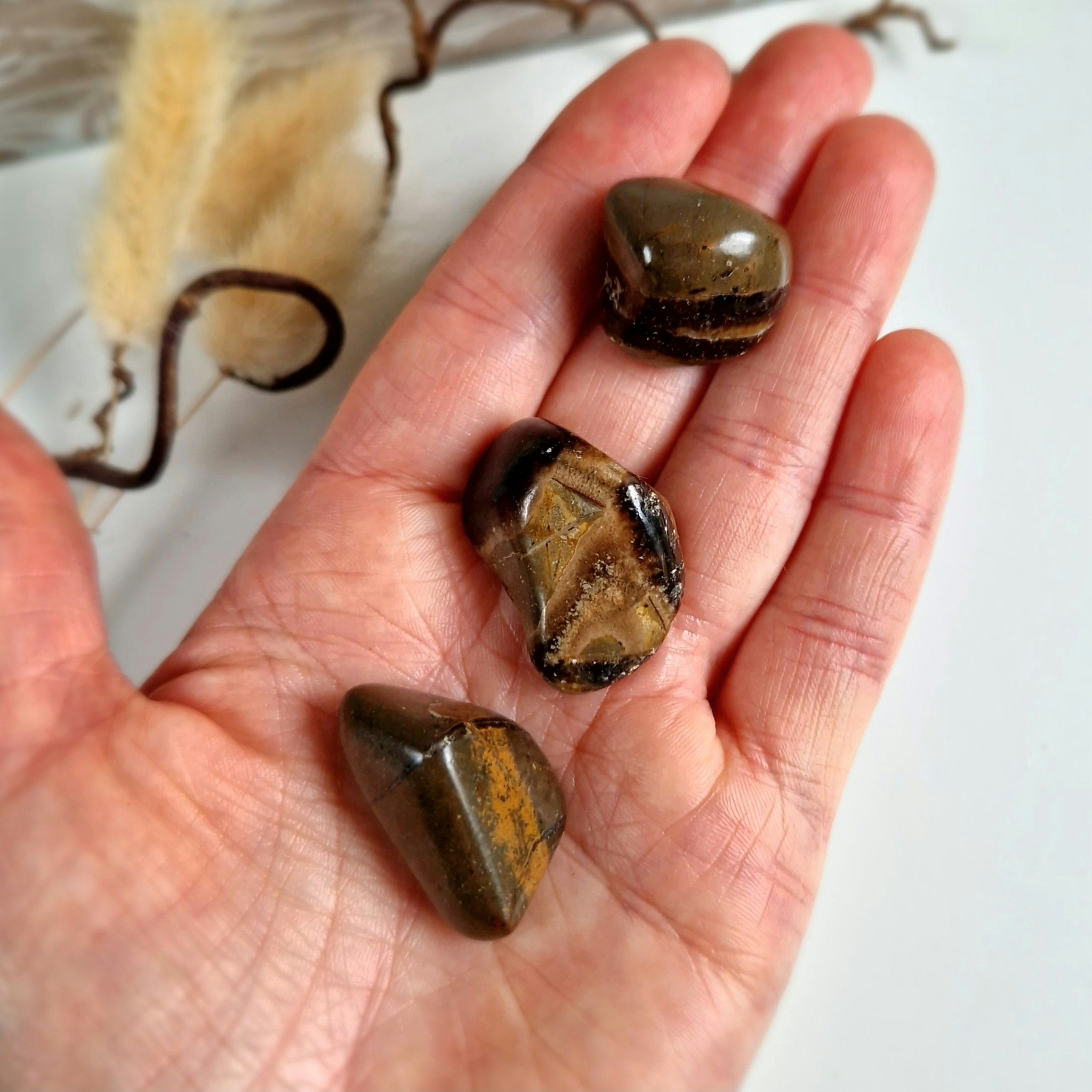 Trumlad Septarian 10-15 g S. Vi väljer