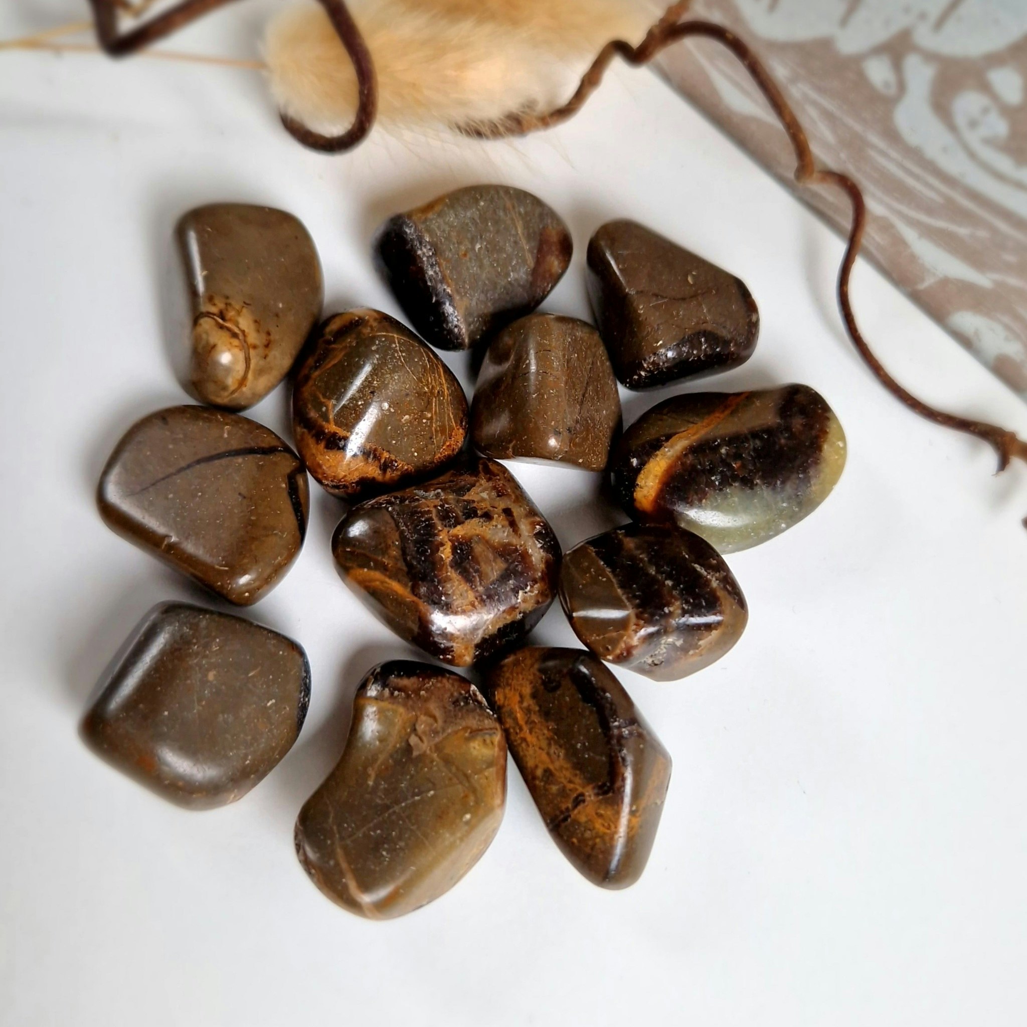 Trumlad Septarian 10-15 g S. Vi väljer