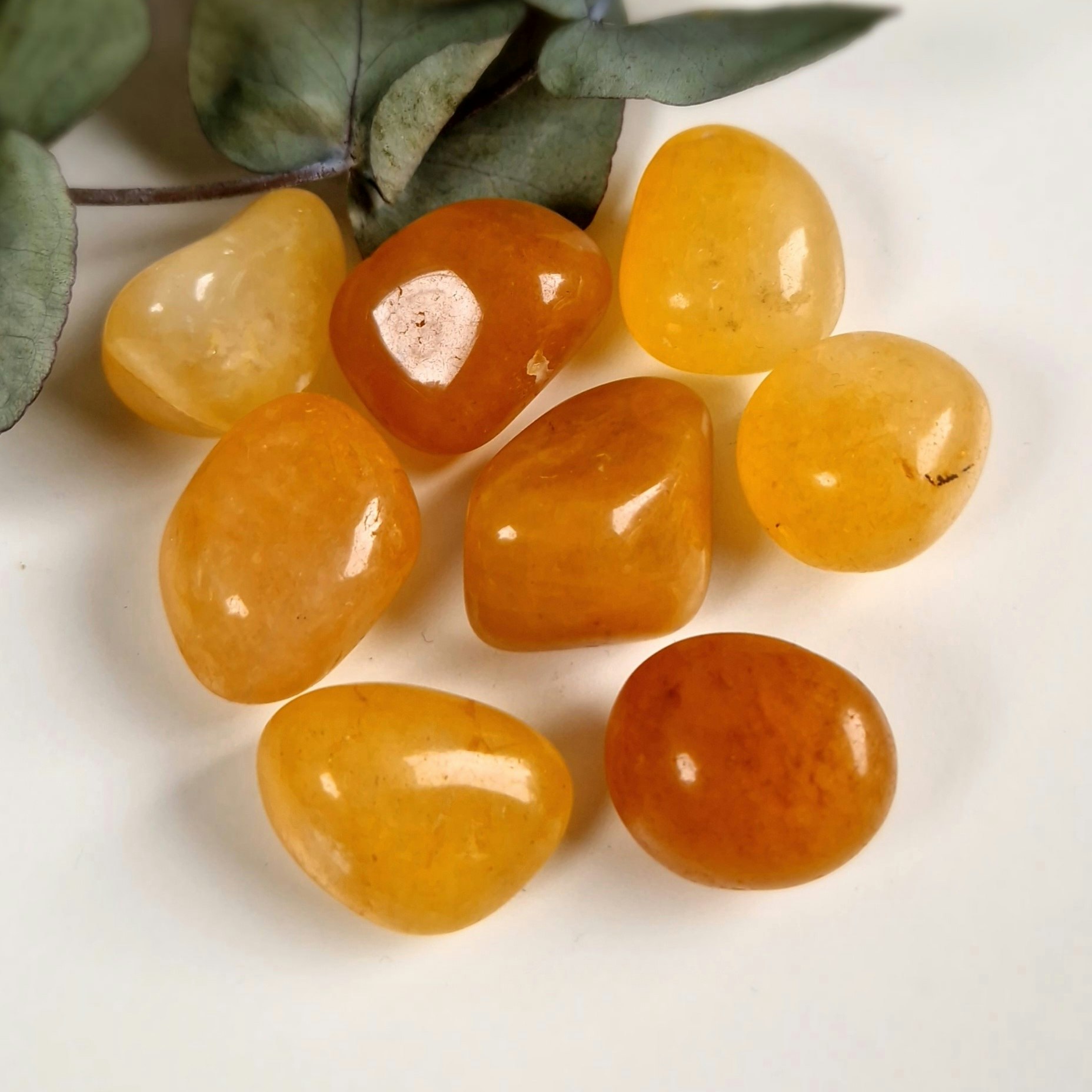 Trumlad Golden Healer 16-23 g M