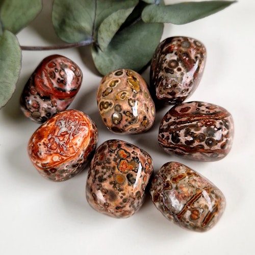Trumlad Leopard Jaspis, 16-23 g M