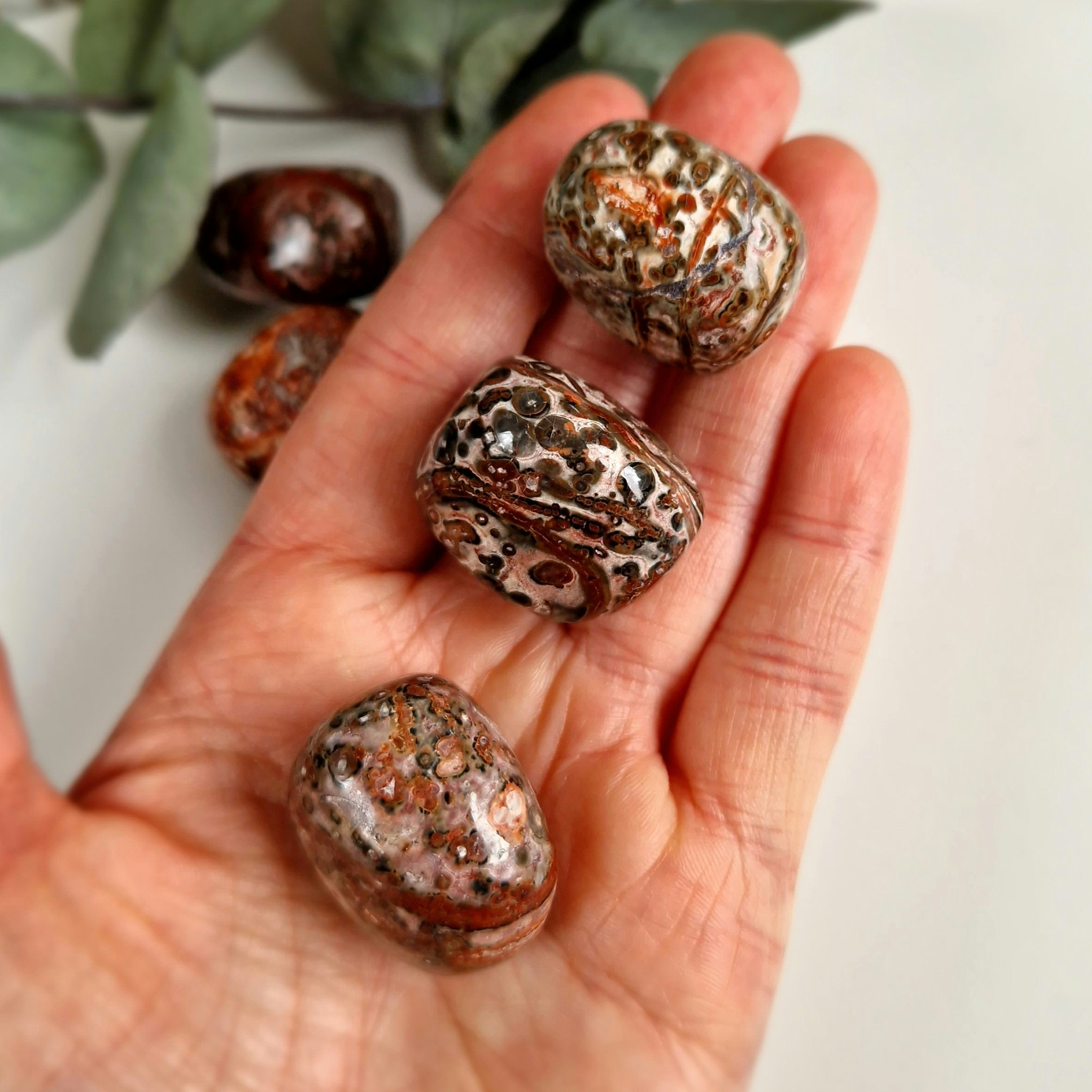 Trumlad Leopard Jaspis, 16-23 g M