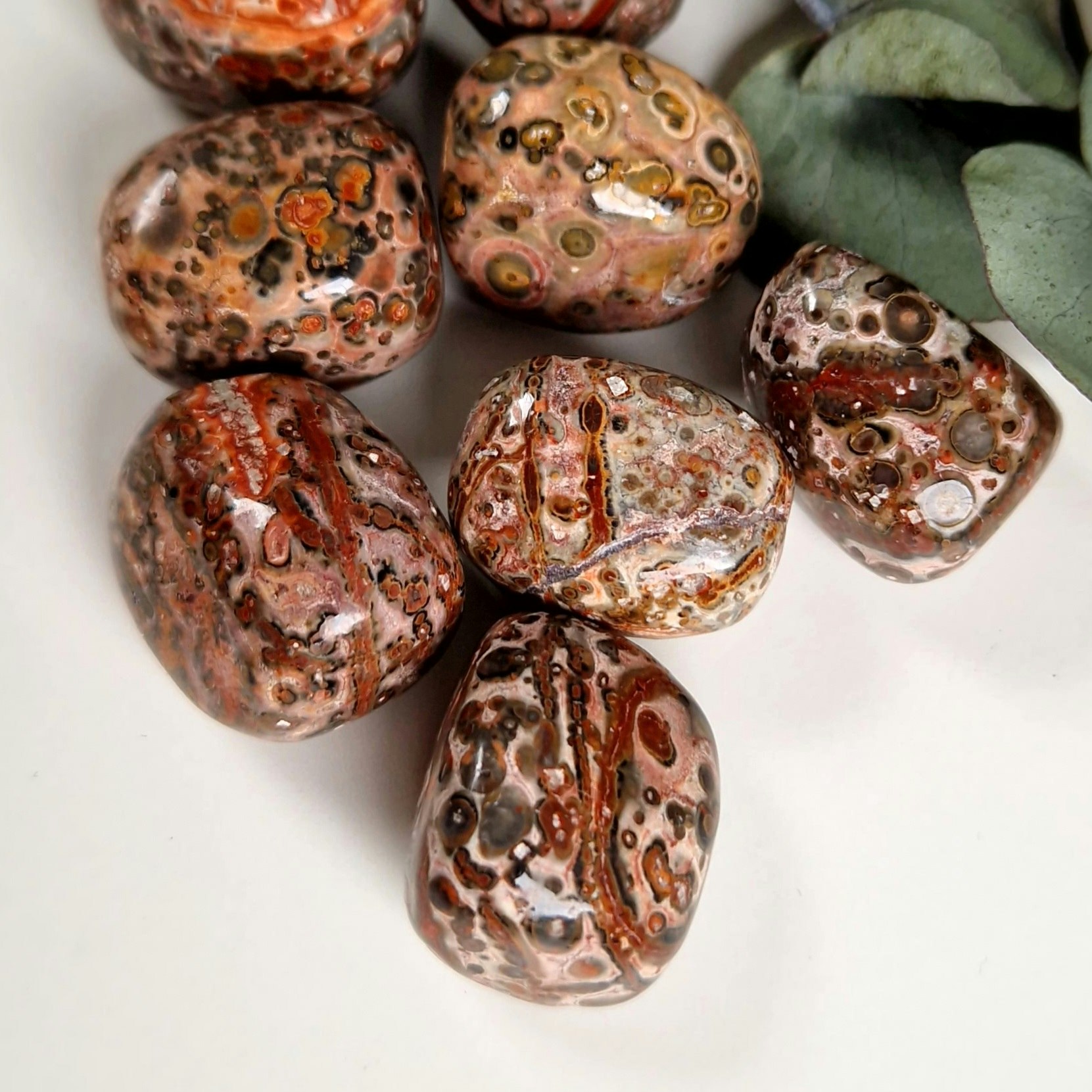 Trumlad Leopard Jaspis, 16-23 g M