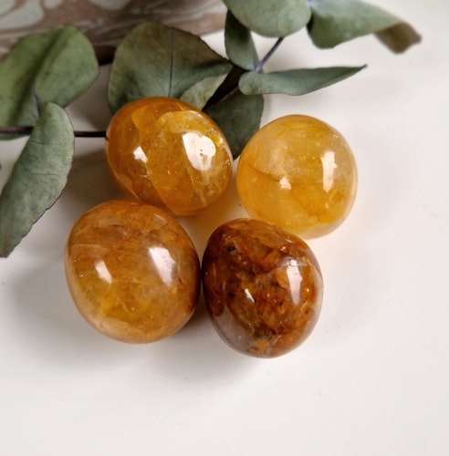 Trumlad Golden healer 41-50 g XXL Cuddlestone