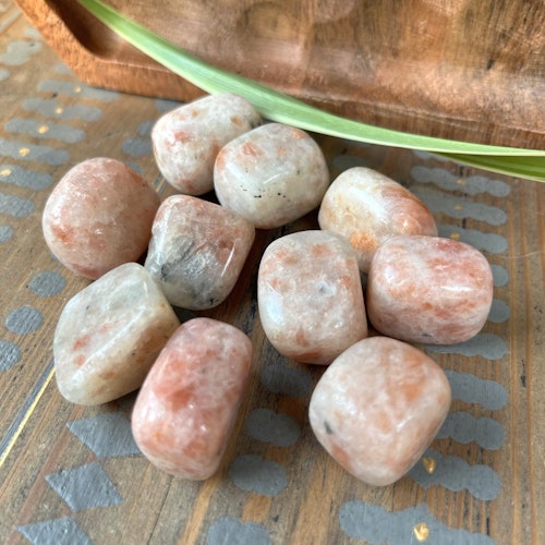 Trumlad Solsten, 10-15 g S. Vi väljer