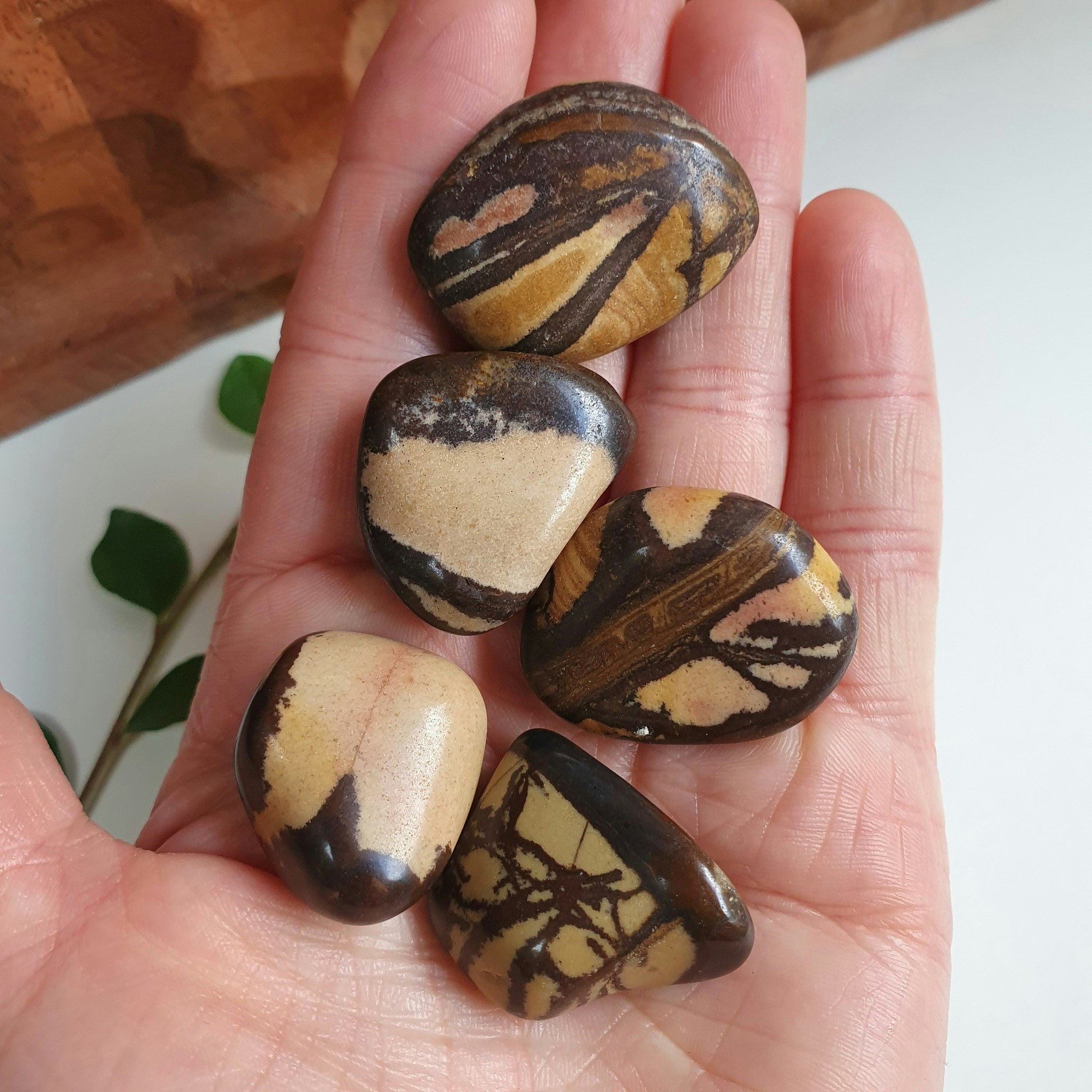 Trumlad Nguni Jaspis,10-15 g S