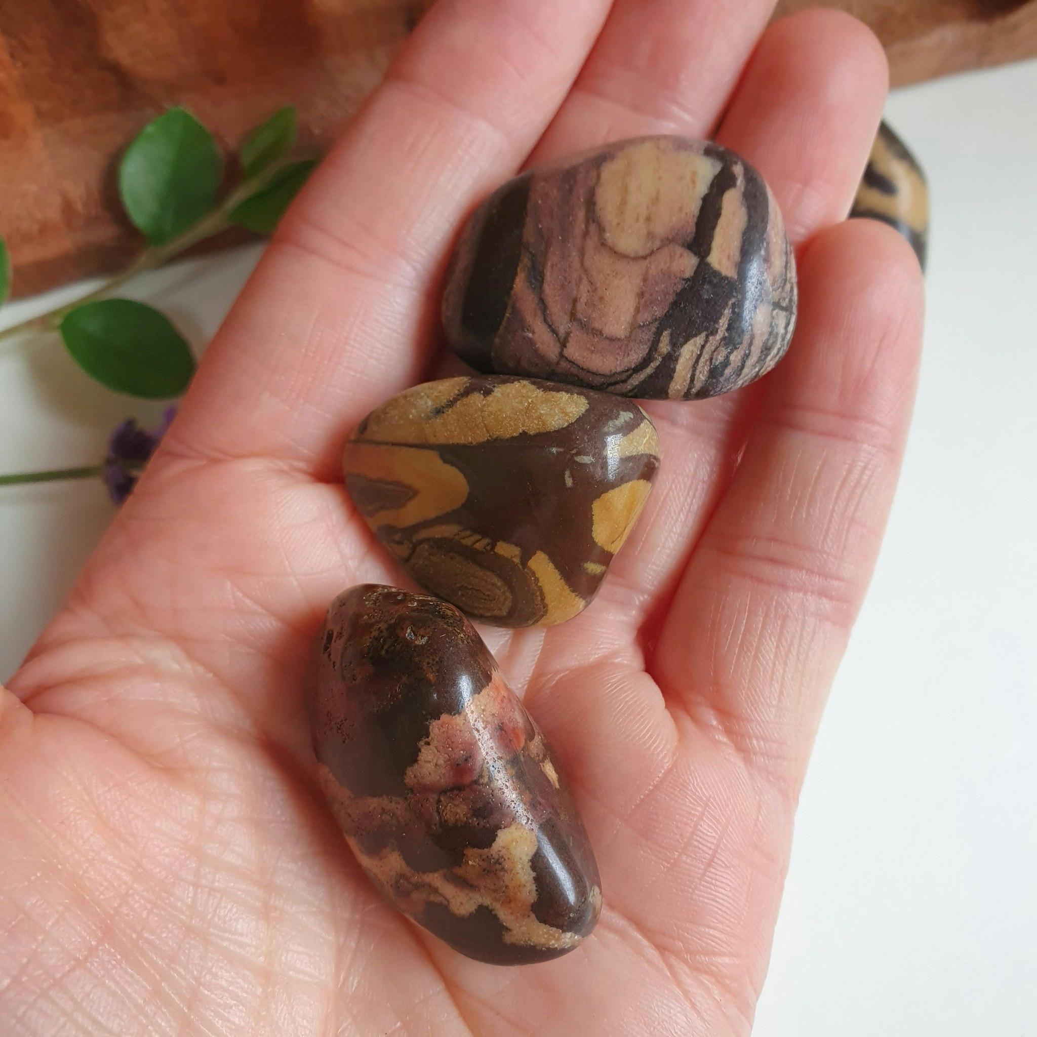 Trumlad Nguni Jaspis,16-23 g M