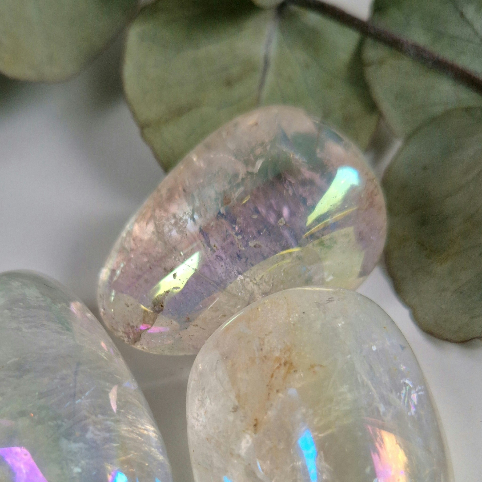 Trumlad Angel Aura 24-3 g L