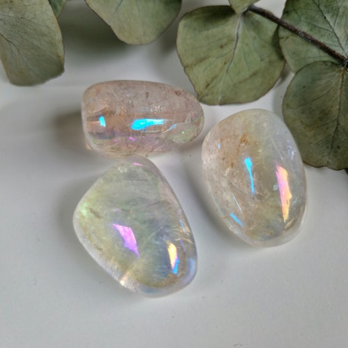 Trumlad Angel Aura 24-3 g L
