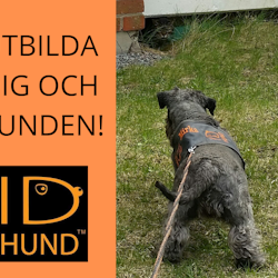 IDhund