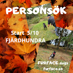 Personsök