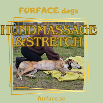 Massage och stretch