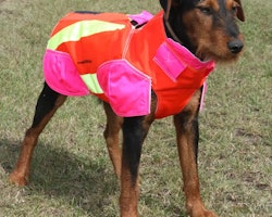 Outdogs omtyckta skyddsväst för hund! Fasta storlekar.