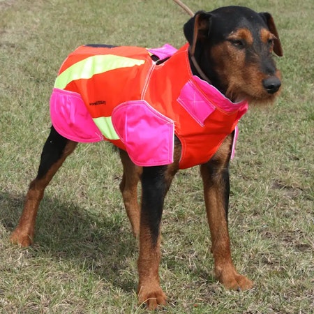 Outdogs omtyckta skyddsväst för hund! Fasta storlekar.