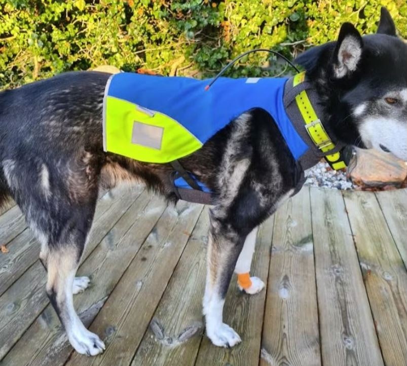 Scout Protector väst MED flythjälp.