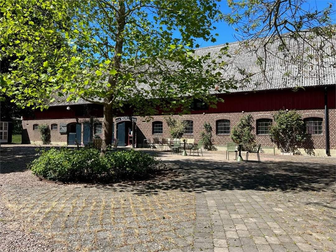 Kroki Självstudier 22 sept
