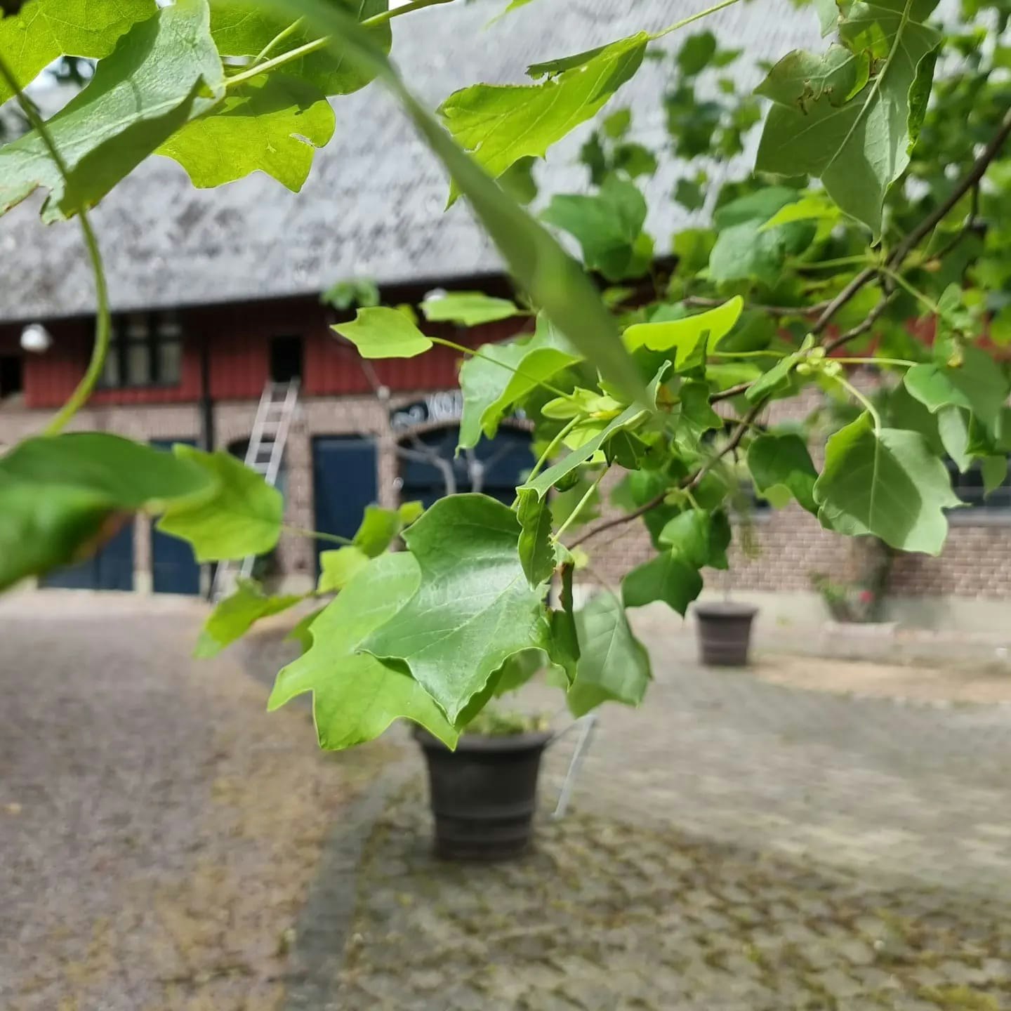 ArtCamp á la Skaparbubblan 2.0