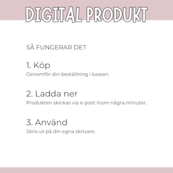Allt om min resa