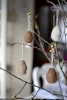 Tovade ägg till påskriset