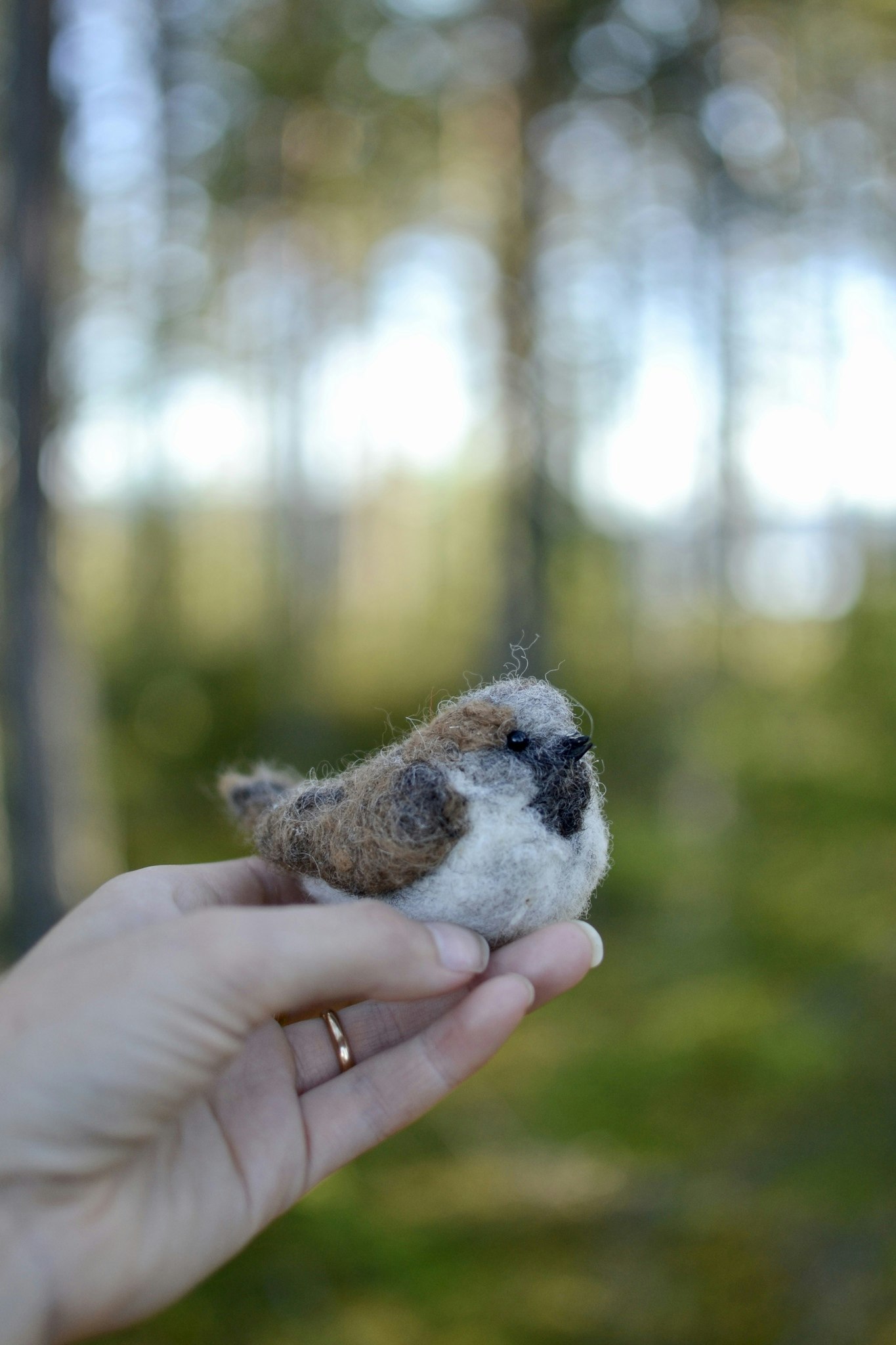 Fågel Gråsparv