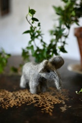 Elefant