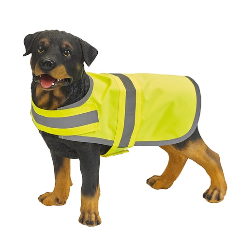 Reflexväst hund