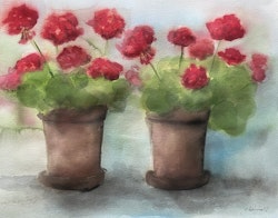 Röda pelargoner. Akvarellmålning