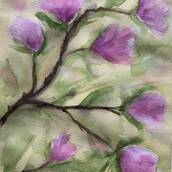 Magnolia. Akvarell