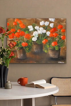 Pelargoner