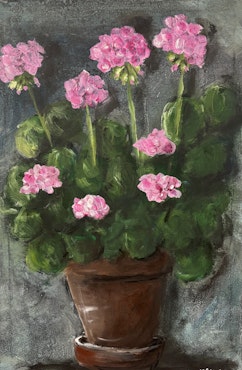 Rosa pelargon.