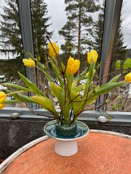 Blomsterfakir