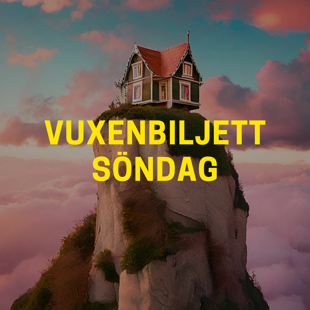 Vuxenbiljett | SÖNDAG | Berga Teater