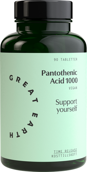 Great Earth, Pantothenic Acid 1000, viktigt för prestationsförmågan och för att minska trötthet och utmattning.90 tabletter