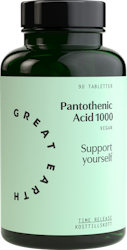 Great Earth, Pantothenic Acid 1000, viktigt för prestationsförmågan och för att minska trötthet och utmattning.90 tabletter