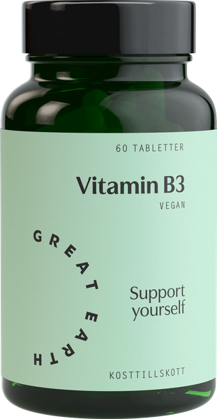 Great Earth, Vitamin B3- Niacin, 60 tabletter