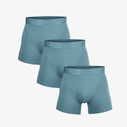Salming NY DESIGN! 3- pack Bamboo Boxer, blue