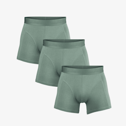 Salming NY DESIGN! 3- pack Bamboo Boxer, green