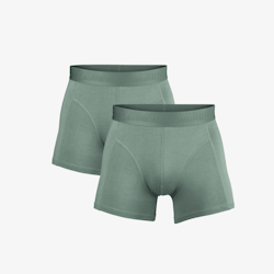 Salming NY DESIGN! 2- pack Bamboo Boxer, green